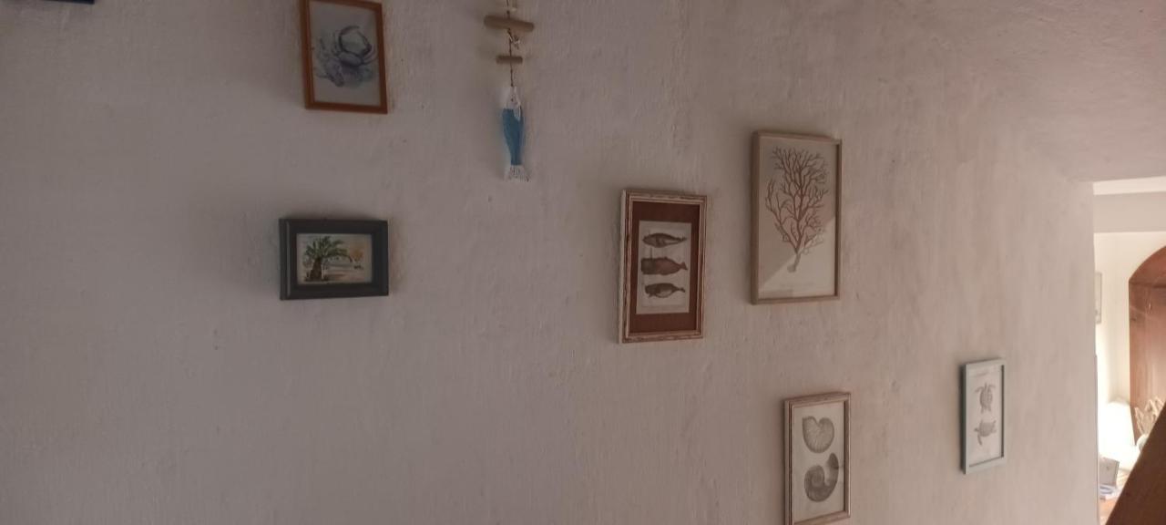 Anna Διαμέρισμα Biograd Na Moru Εξωτερικό φωτογραφία